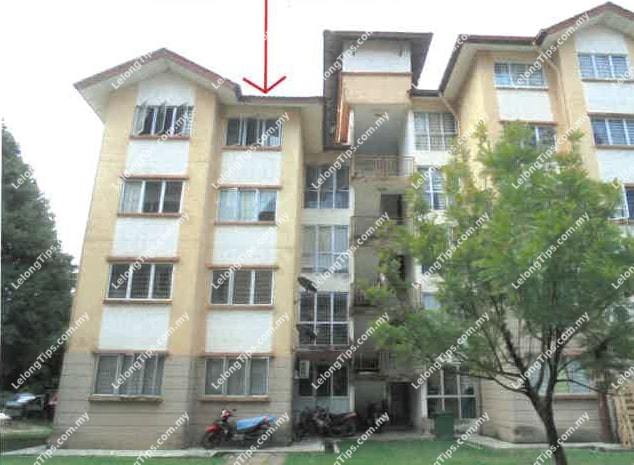 Damiana Apartment