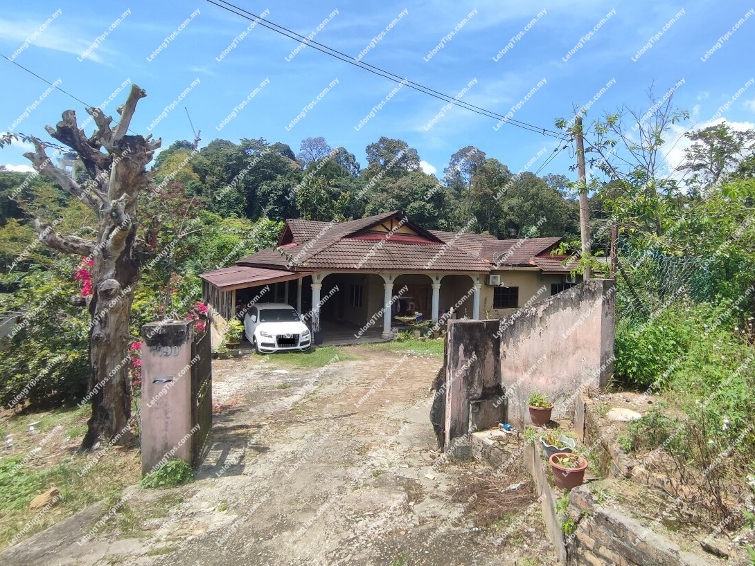 1 Storey Detached House