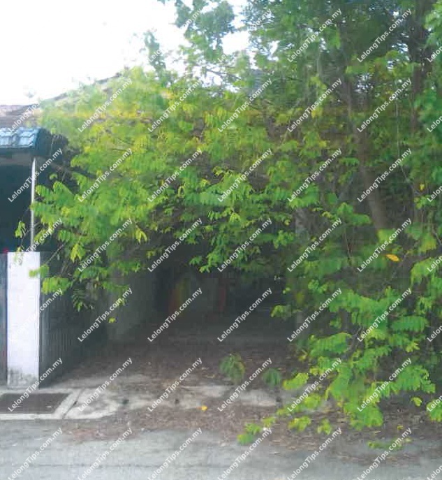 1 Storey Terrace House