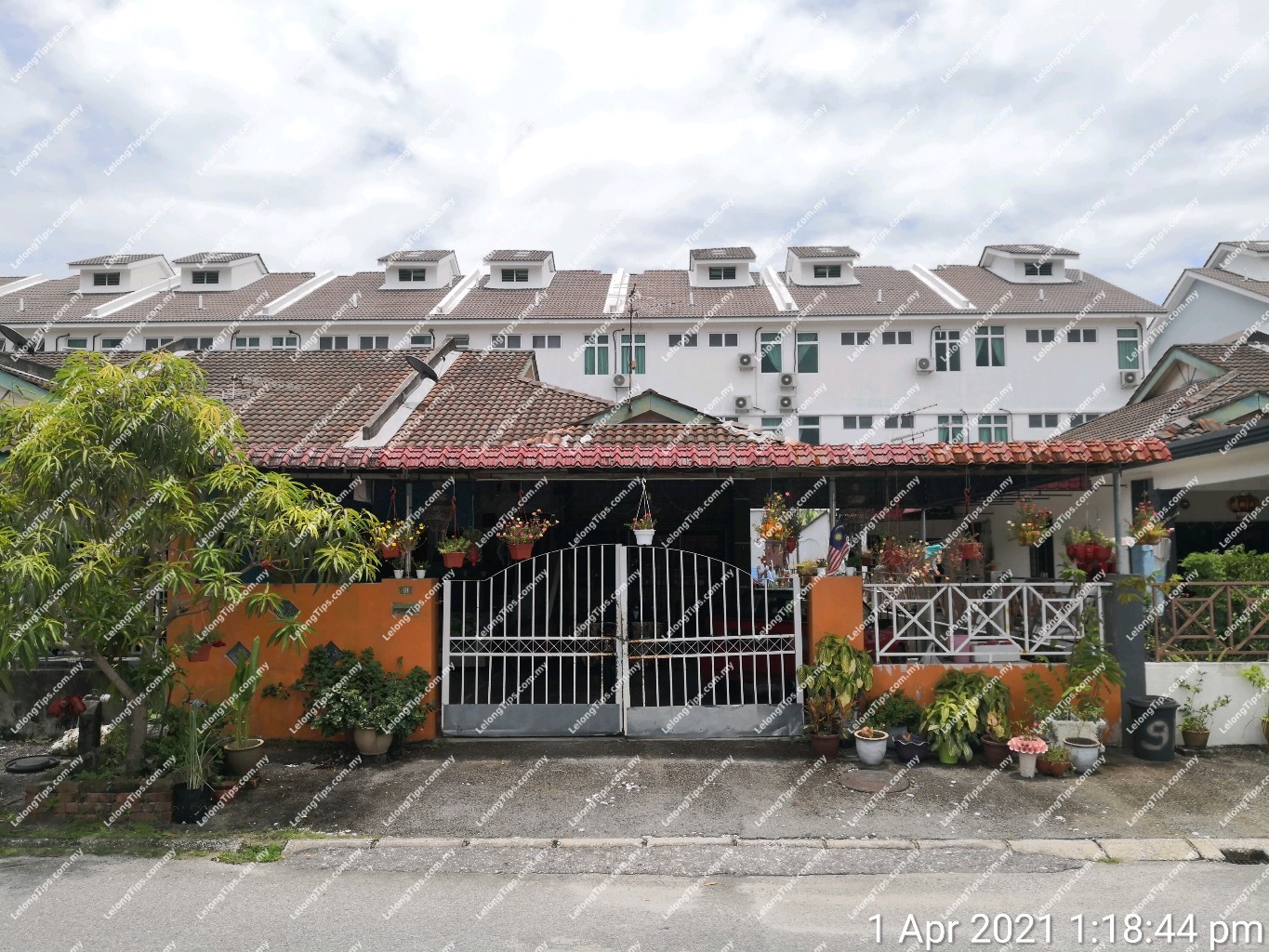 1 Storey Terrace House