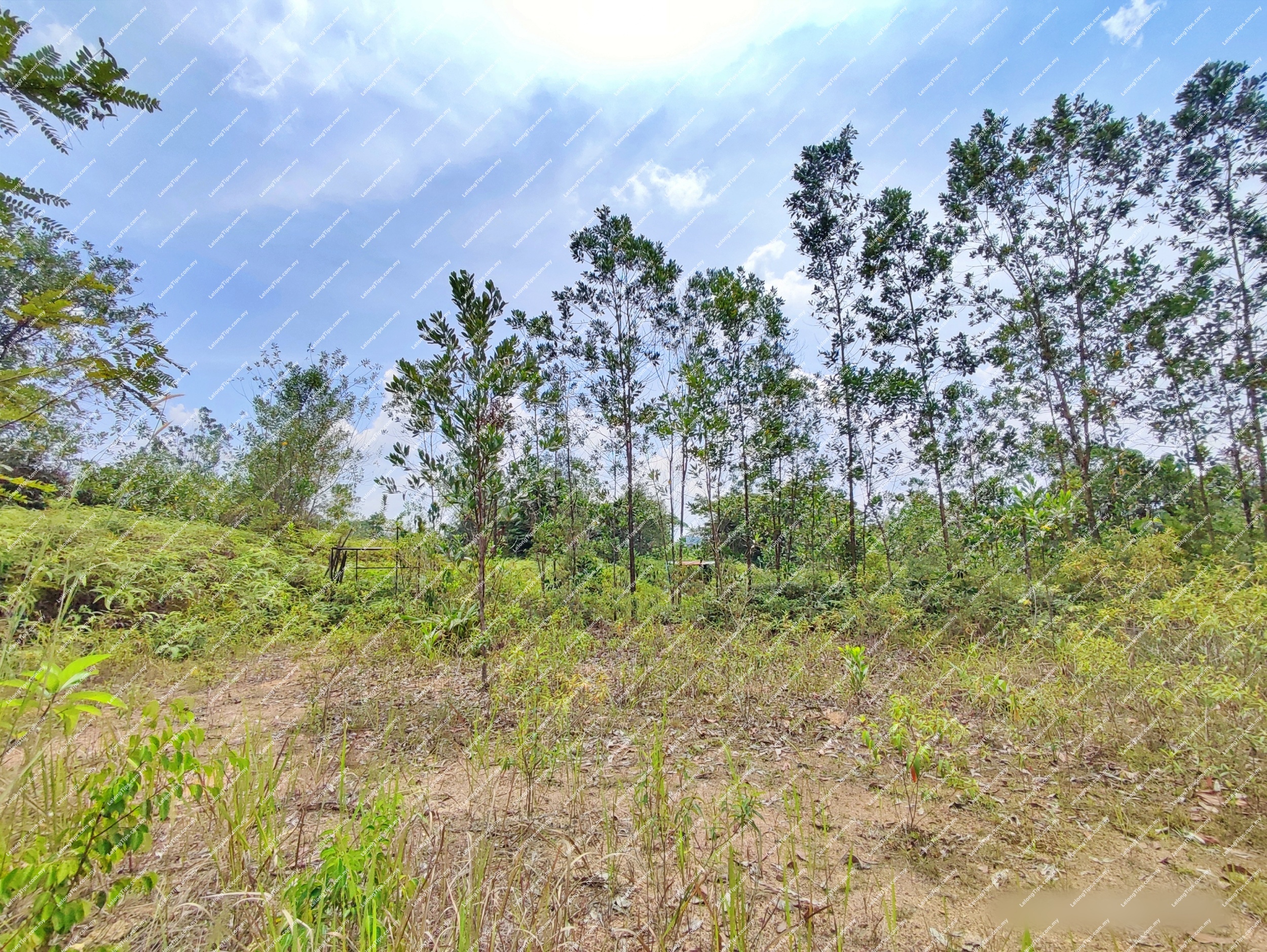 Freehold Residential Land [4 min to Sungai Pinang Waterfall Recreation; 7 min to Econsave Batang Kali; 10 min to Batang Kali KTM Station]