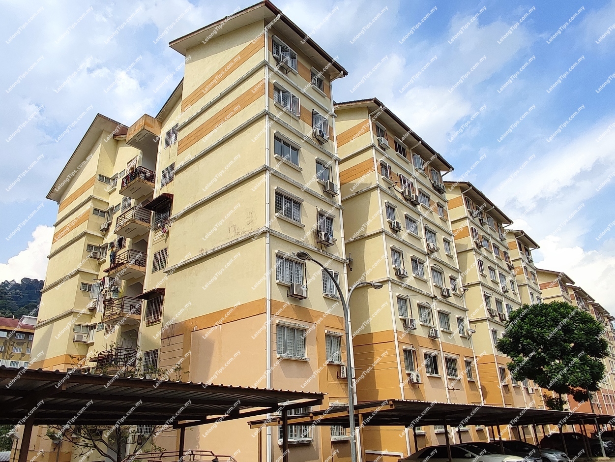 Vista Hatamas Apartment