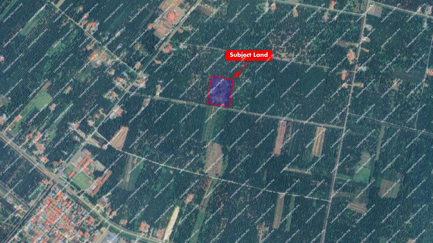 Lelong Auction [Road Accessible] Flat Agricultural Land [Near to Perak