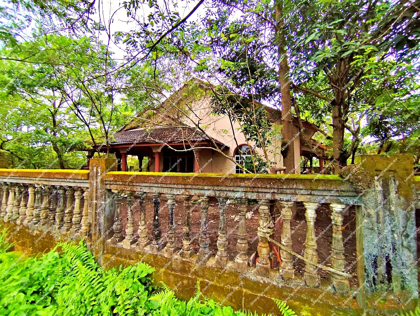 1 Storey Bungalow House
