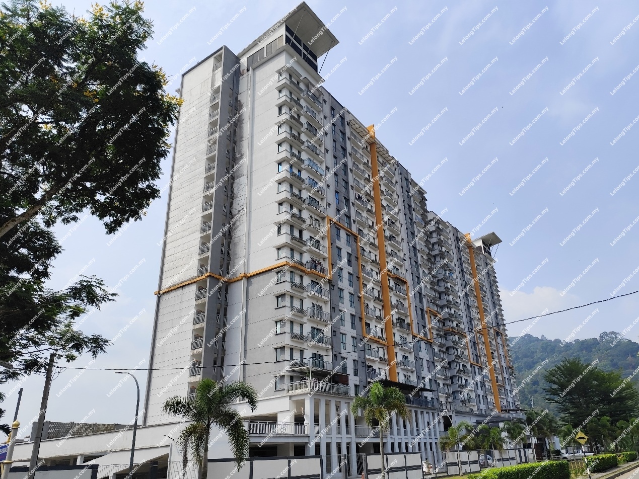 Condominium