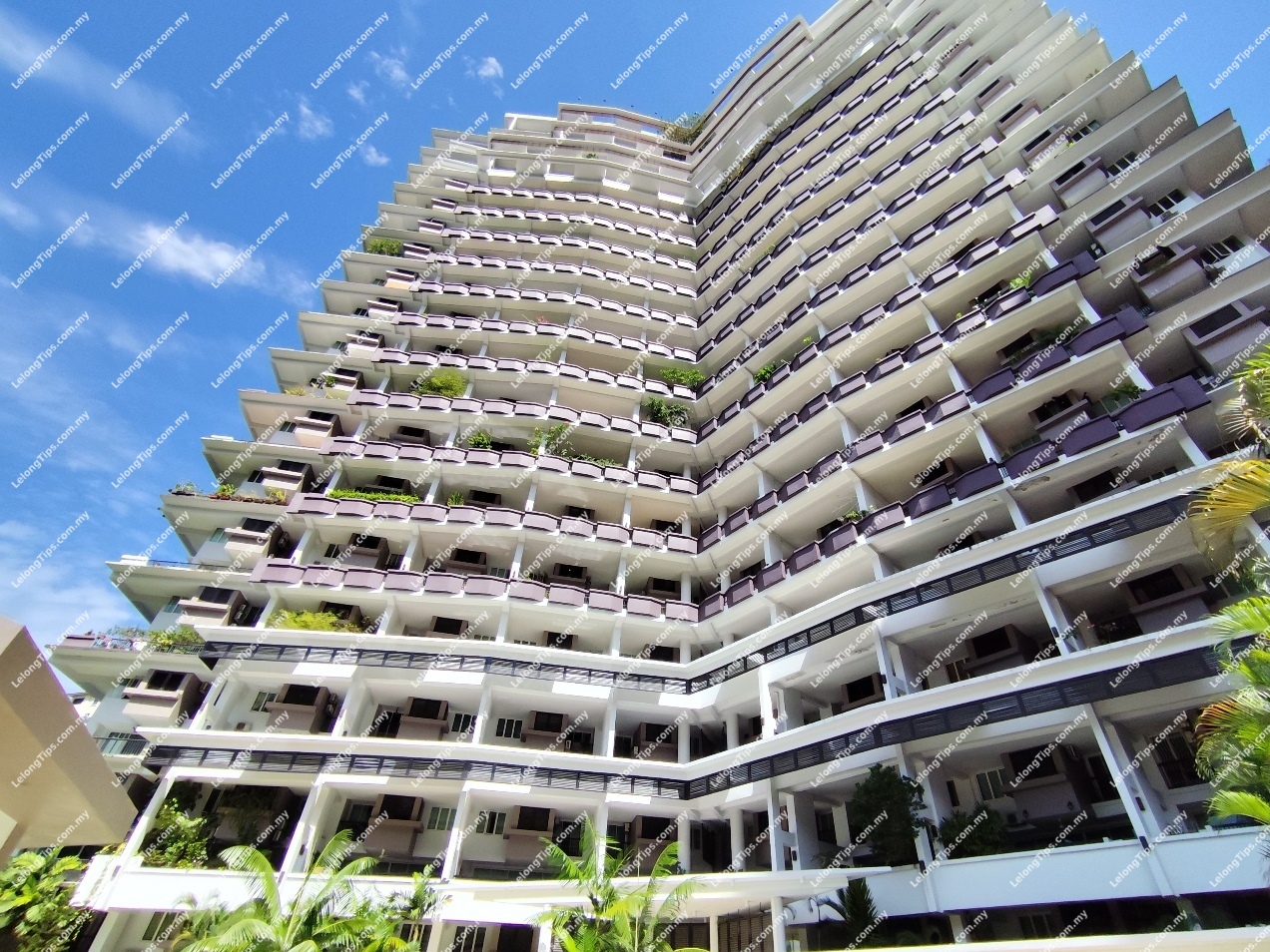 Condominium