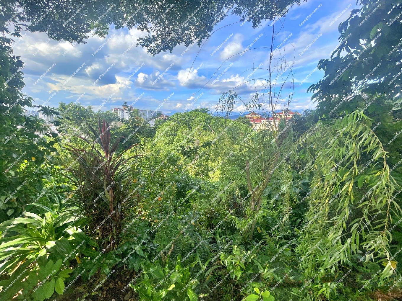 11 Parcels of Vacant Residental Terrace Lots