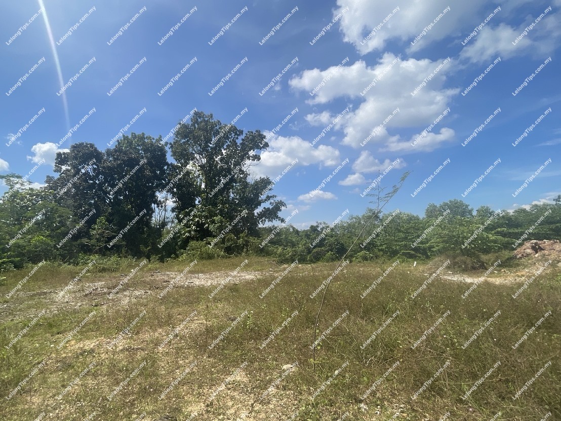 Residential Plot