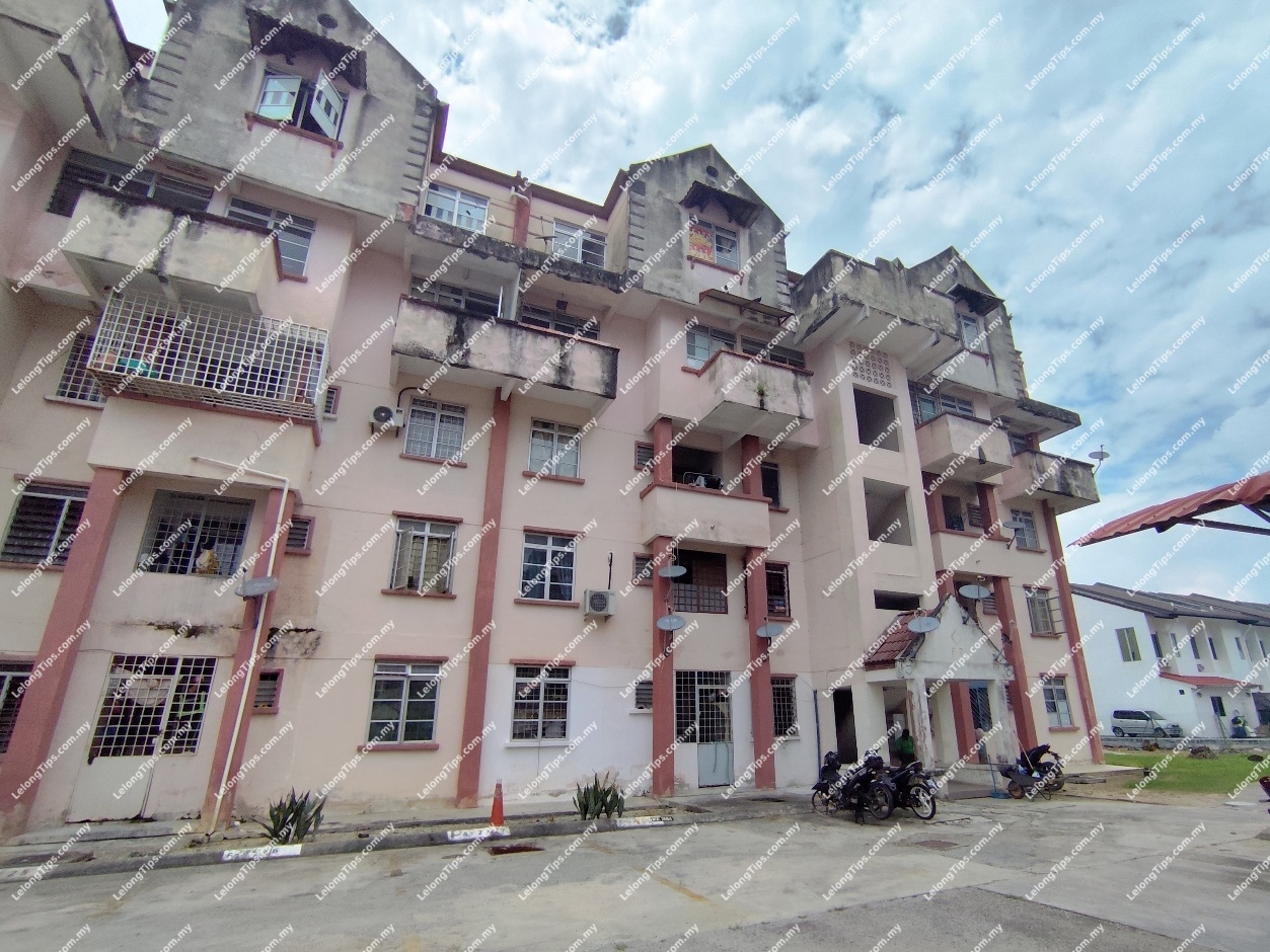 Duplex Apartment