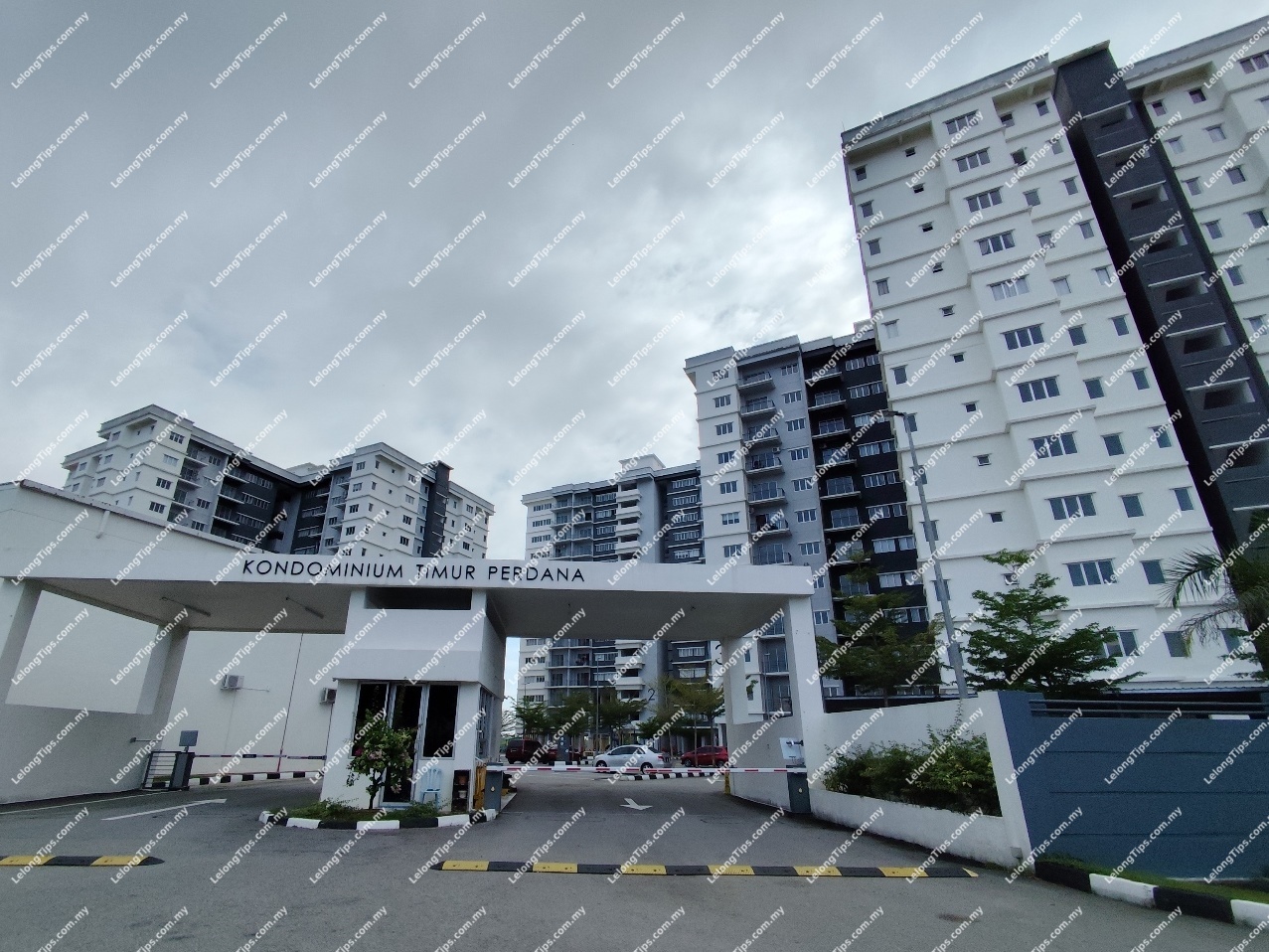 Condominium