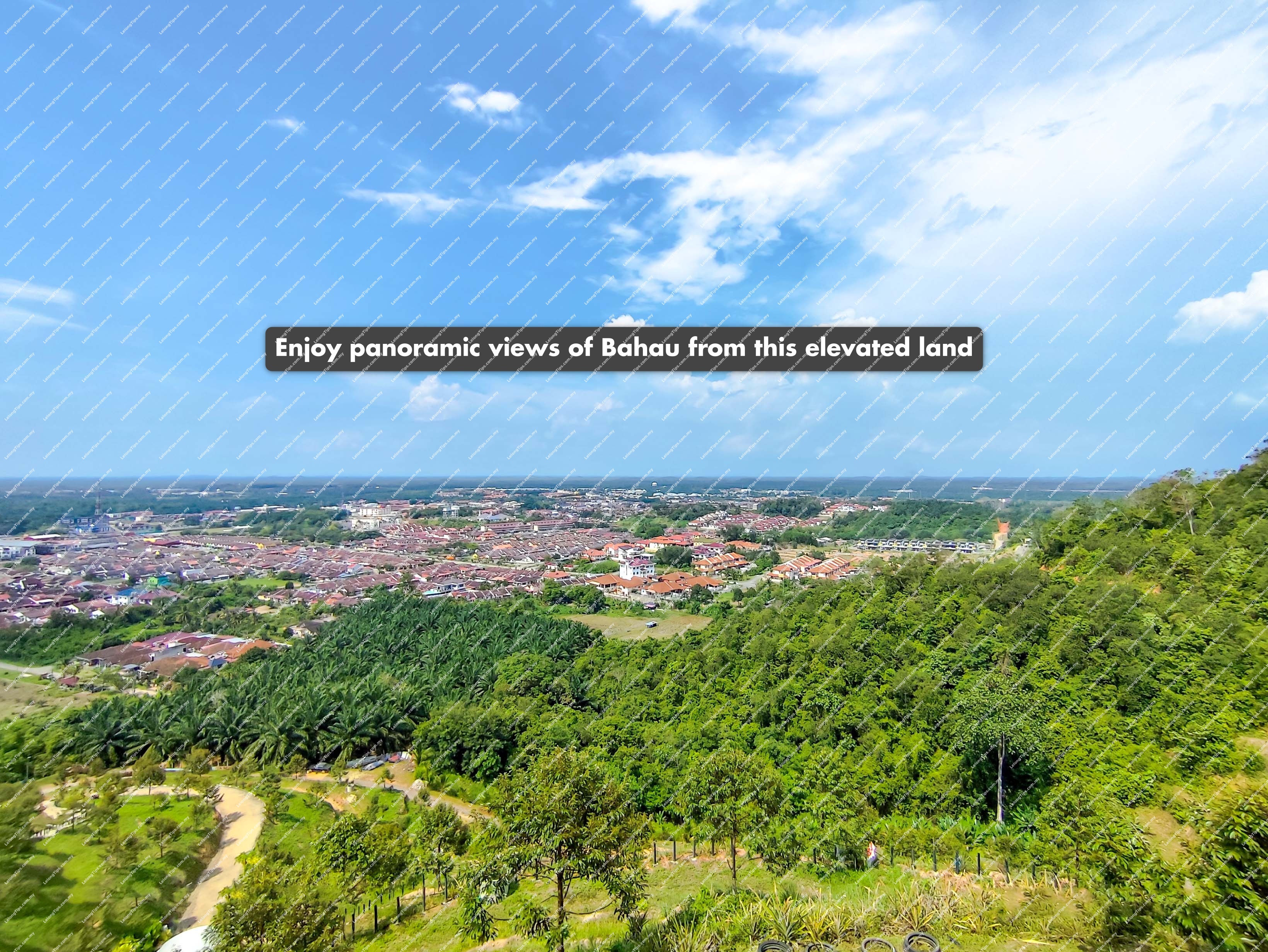 [Full ownership for long-term gain] Agricultural Land [Ideal for farming, private estate, or land banking]