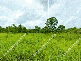 Agricultural Land