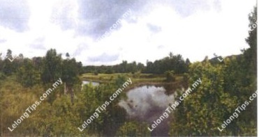 Agricultural Land