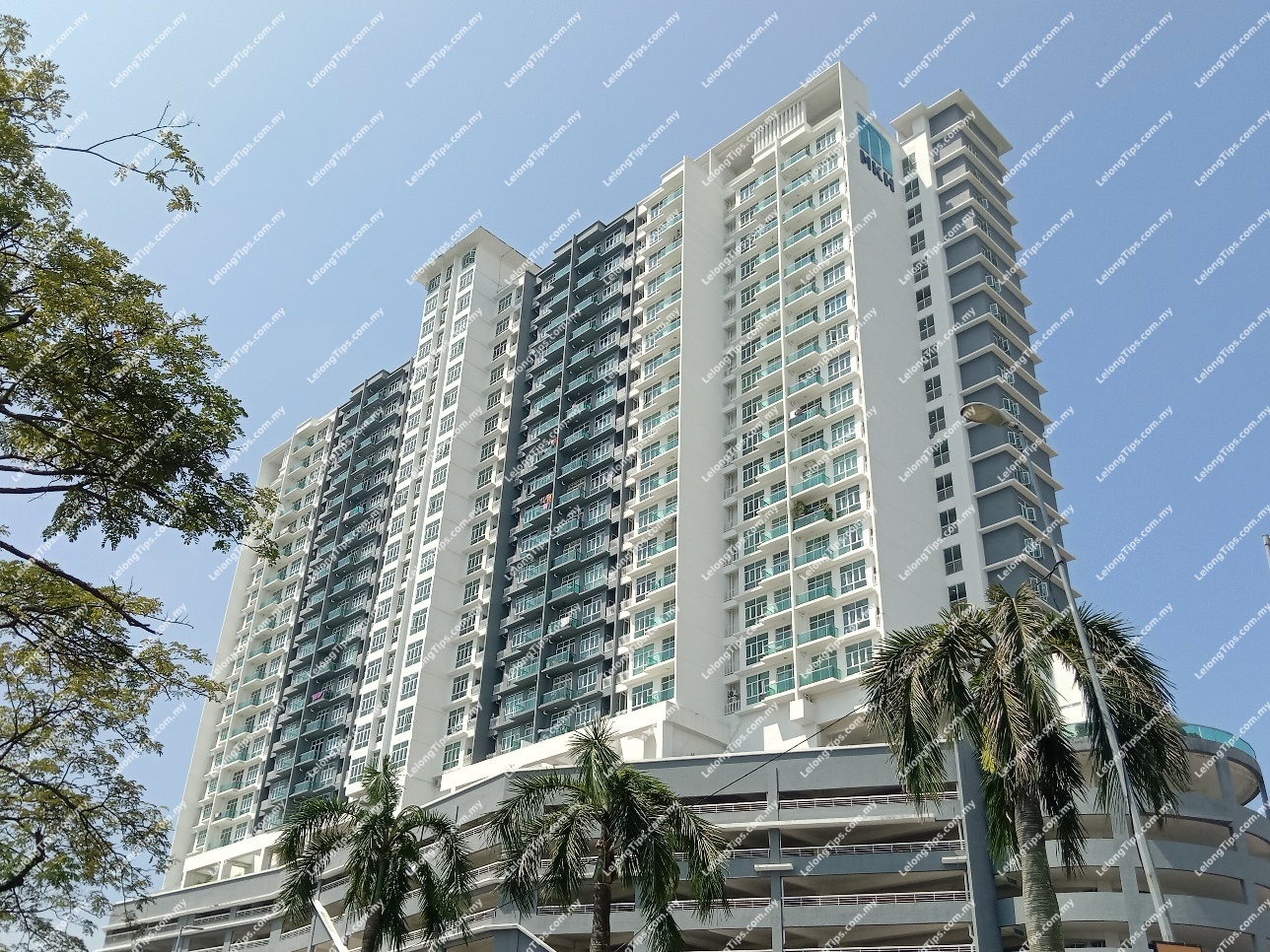 Service Apartment