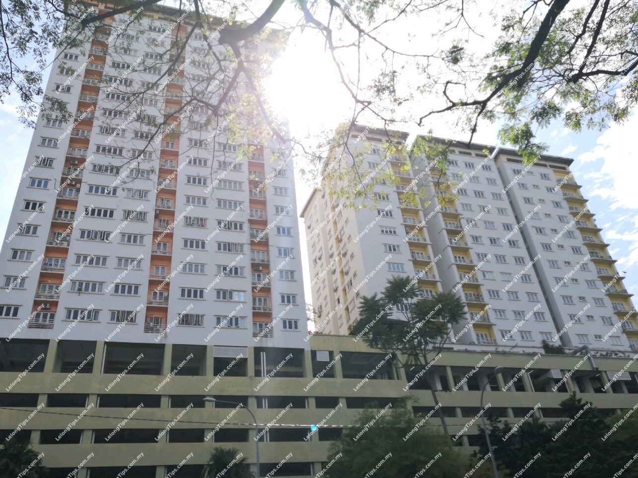 Duplex Condominium