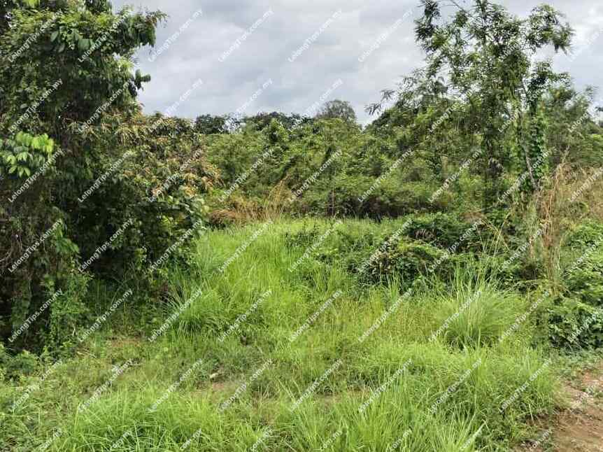 Land
