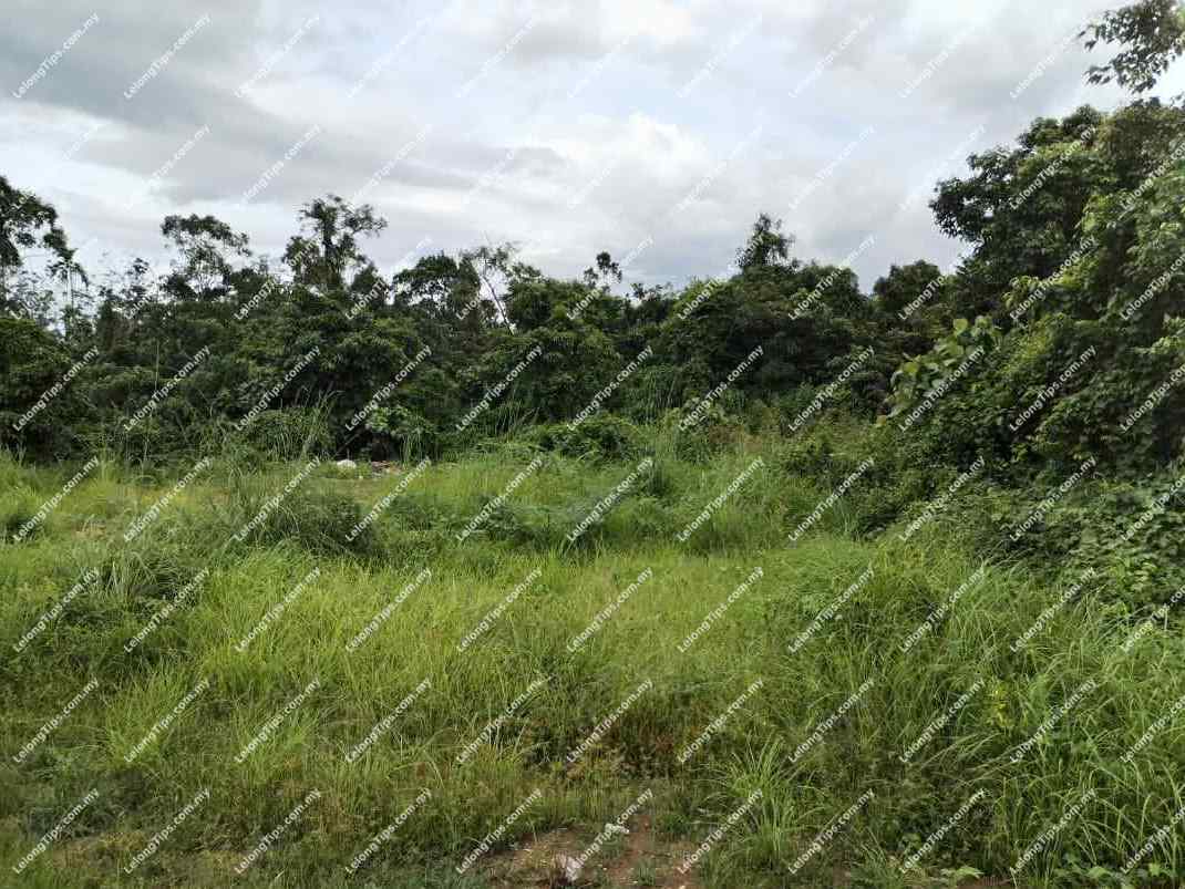 Land