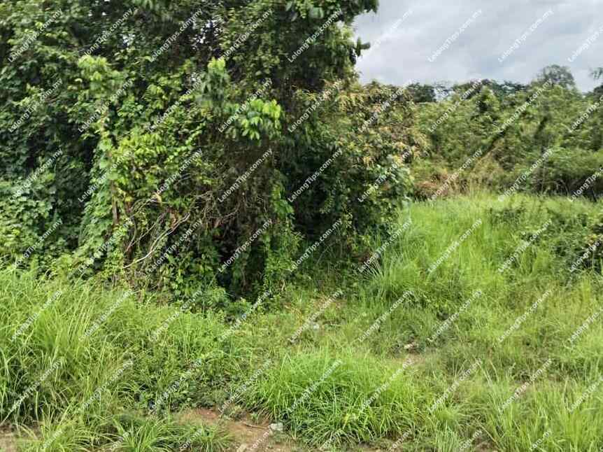 Land