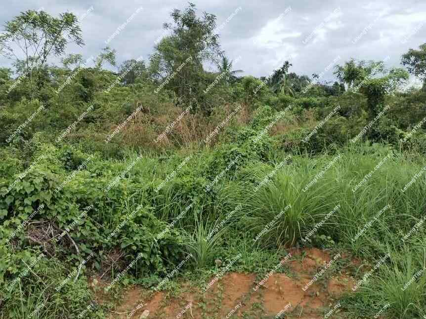 Detached Plot