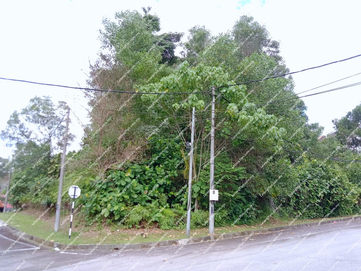 Residential Land