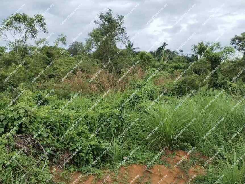 Land