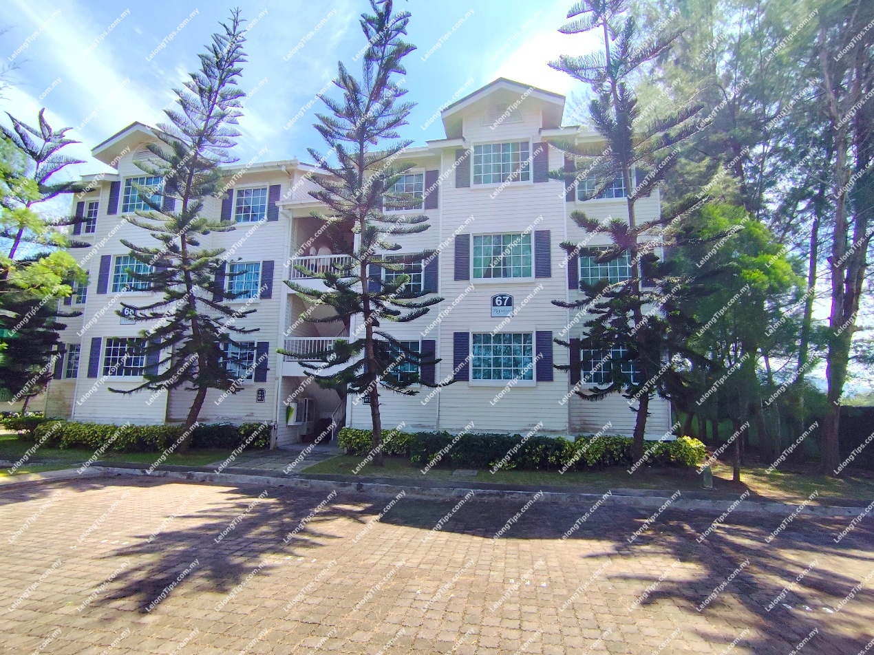 Town House