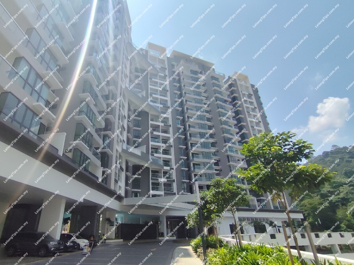 Condominium