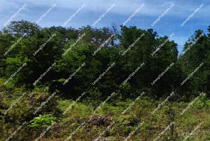 Vacant Residential Land