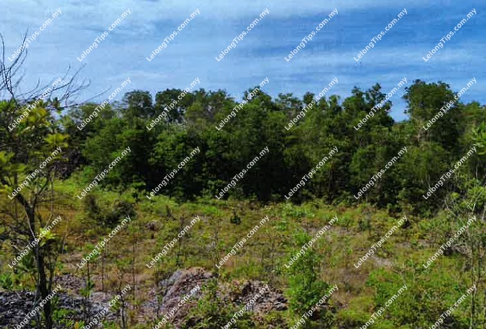 Vacant Residential Land