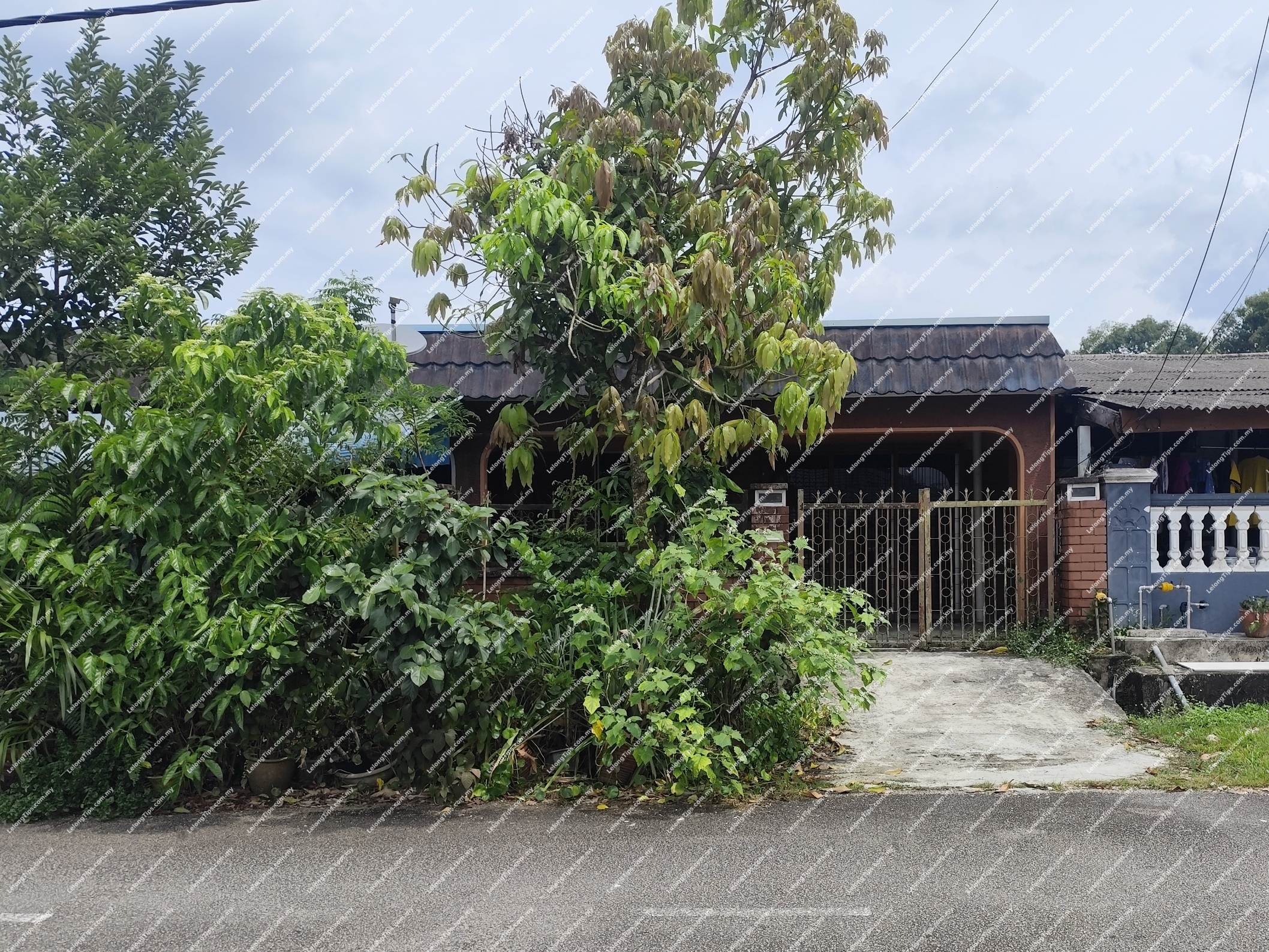 1 Storey Terrace House