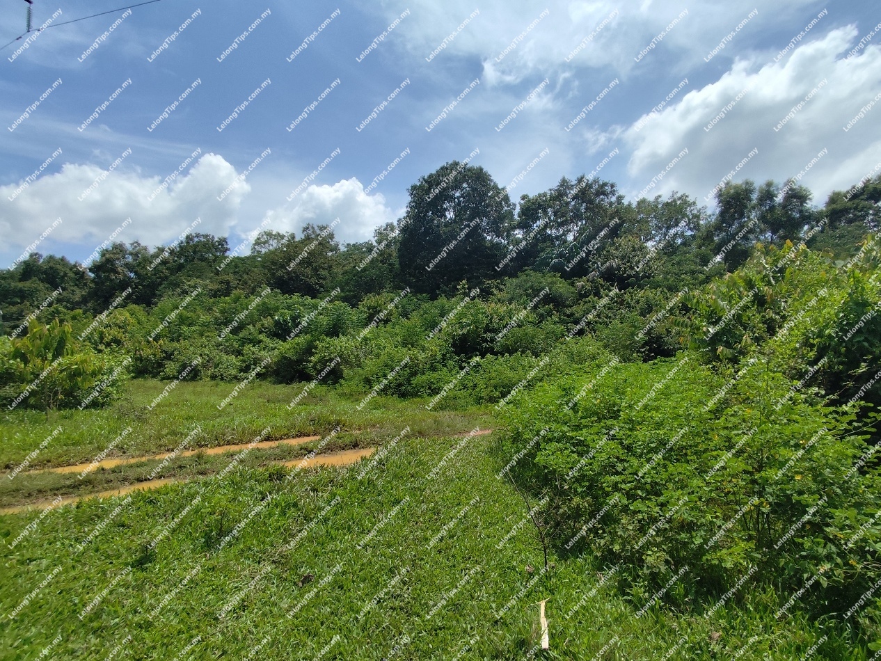 Industrial Land