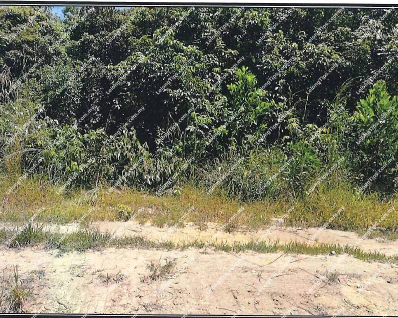 Residential Land