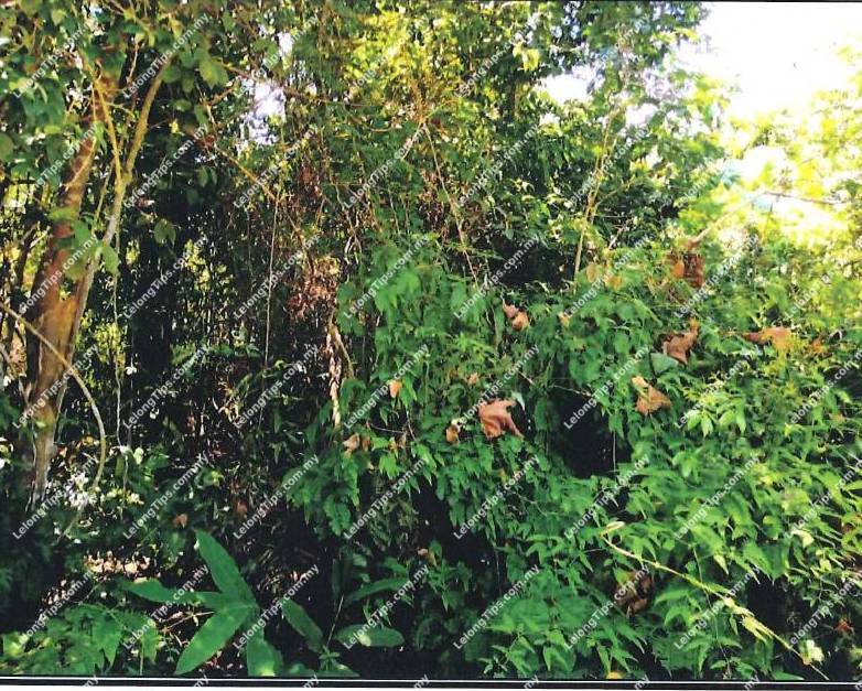 Residential Land