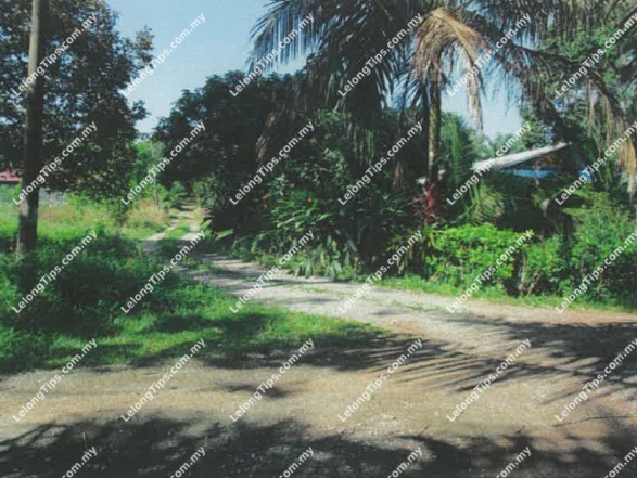 Agricultural Land