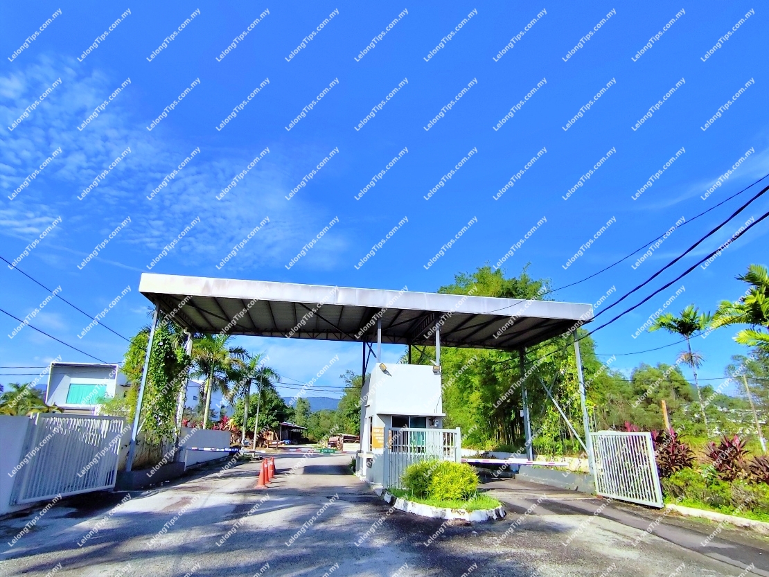 2 Storey Detached House