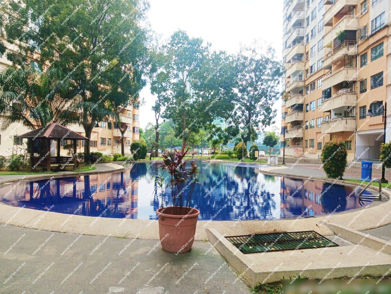Condominium