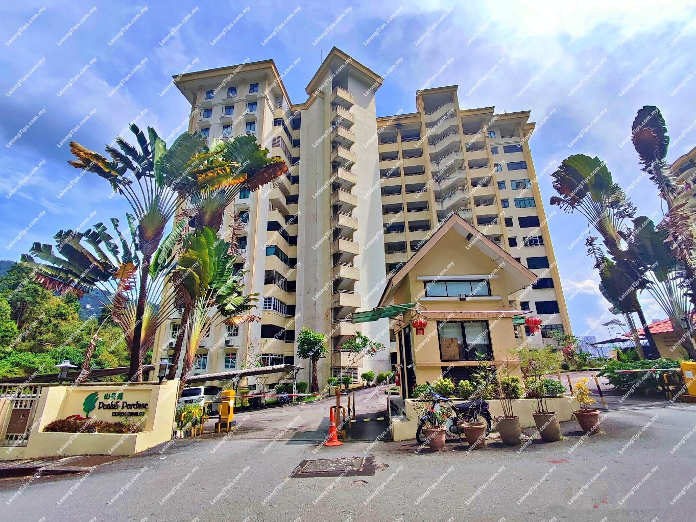 Condominium (Penthouse)