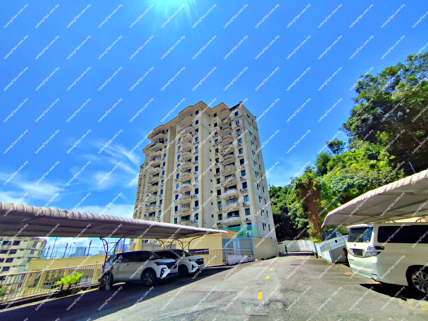 Condominium (Penthouse)