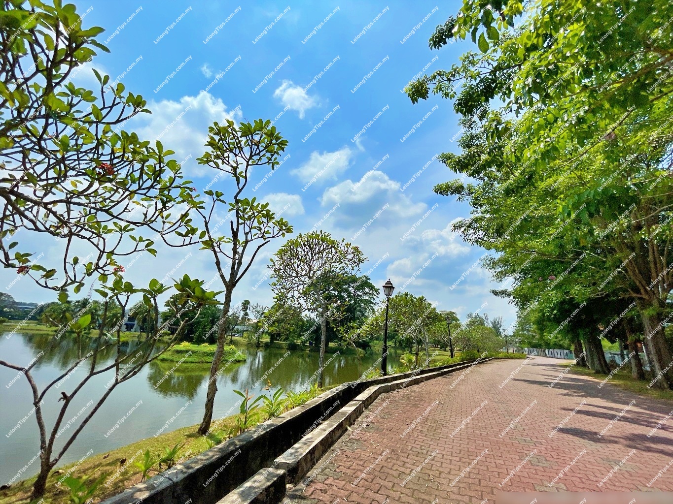 3 Storey Detached House