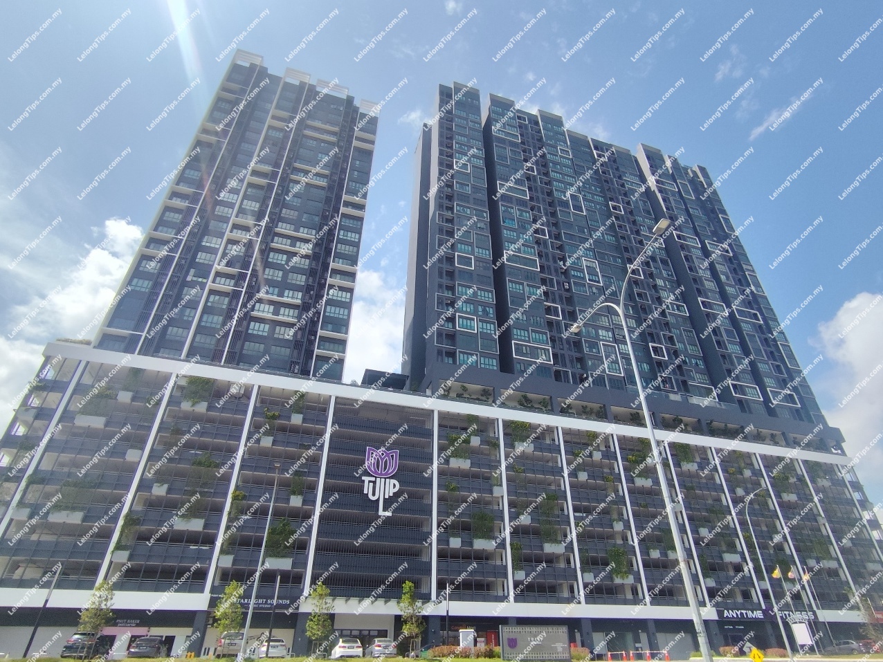 Small Office Home Office (SOHO)