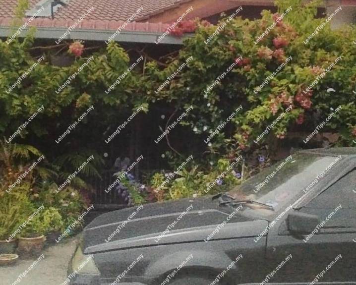 1 Storey Terrace House