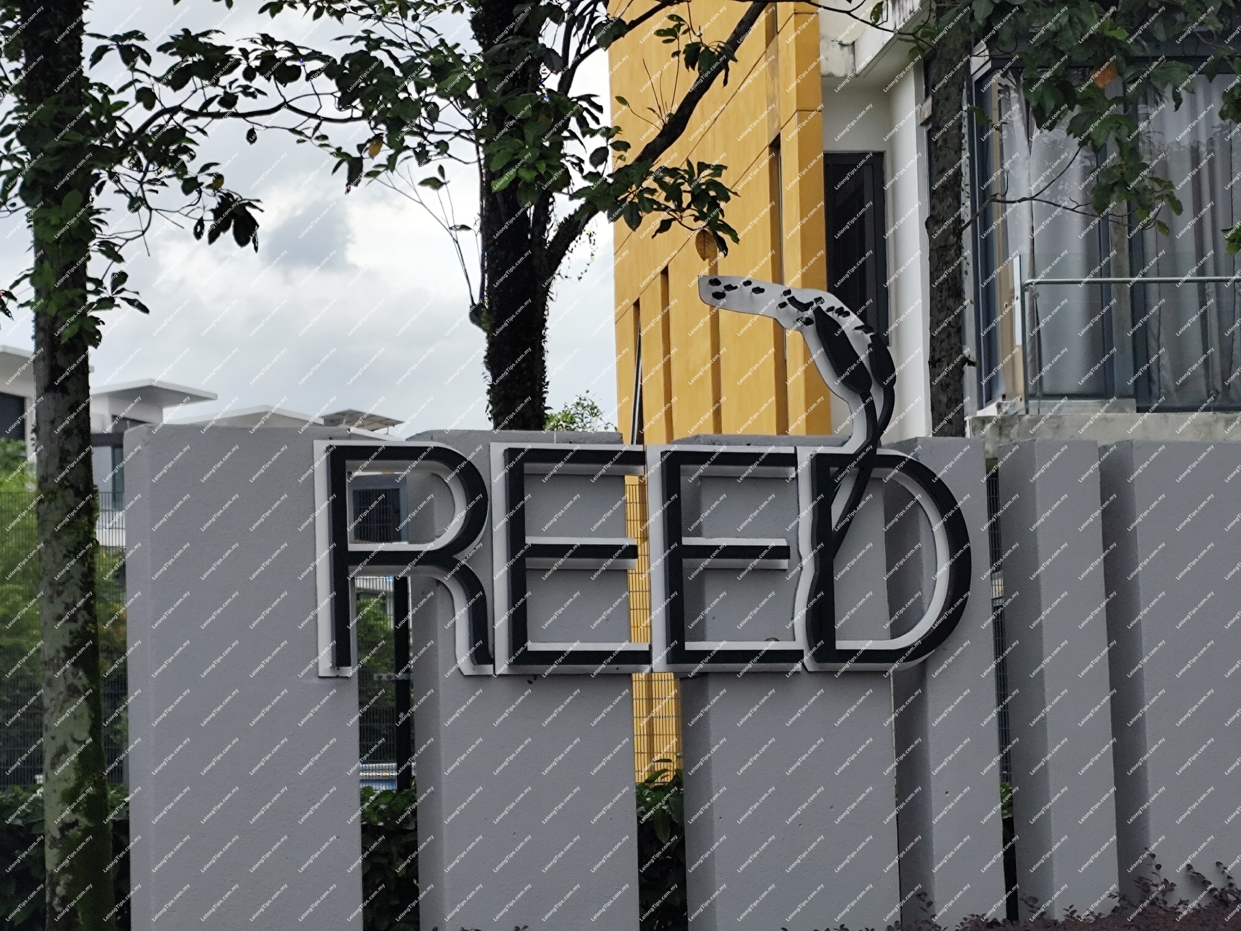 3 Storey Terrace House