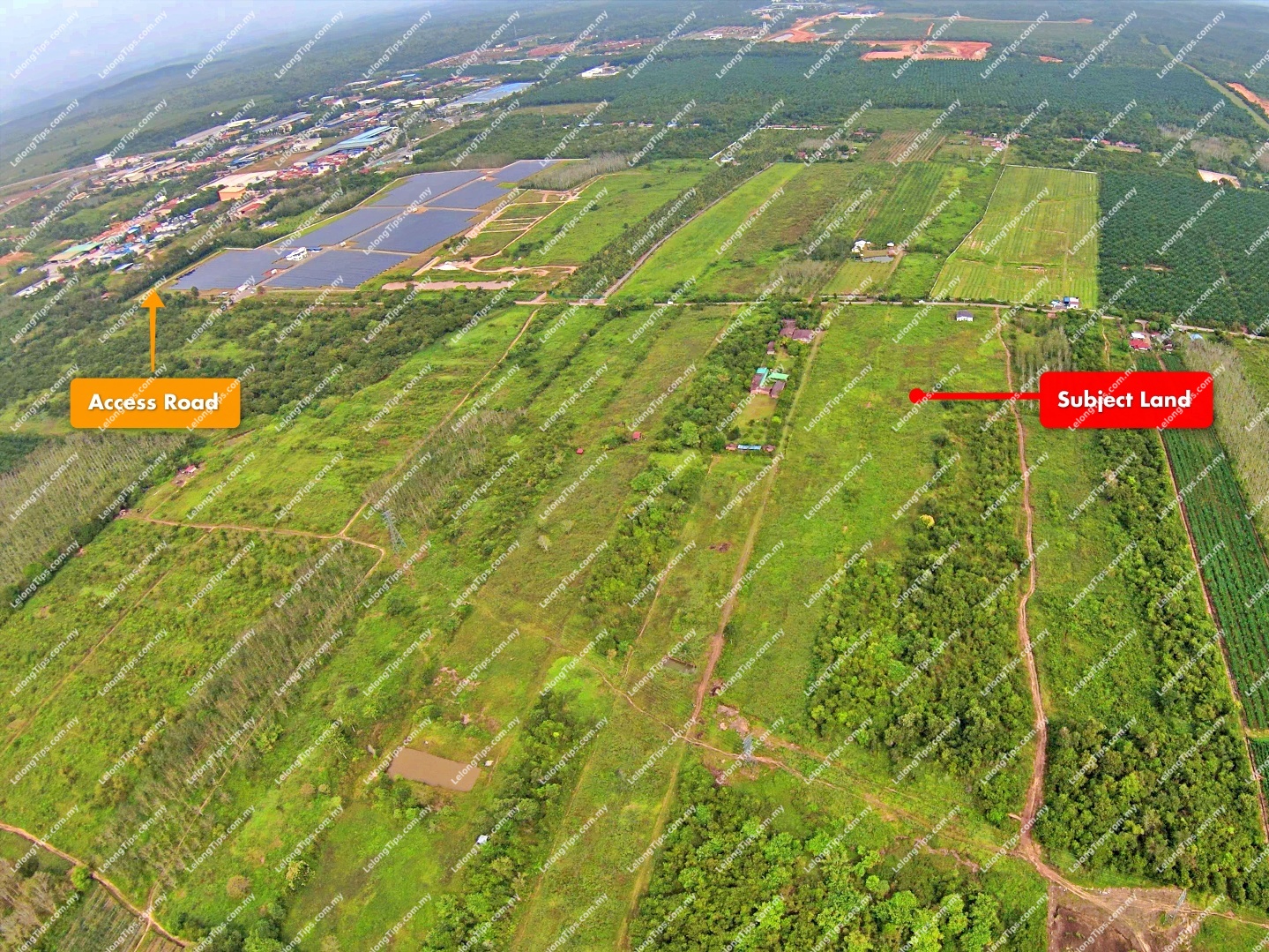 [Strategic location in Bandar Bukit Kayu Hitam] Agricultural Land [Ideal for agricultural investment or long-term landbanking]