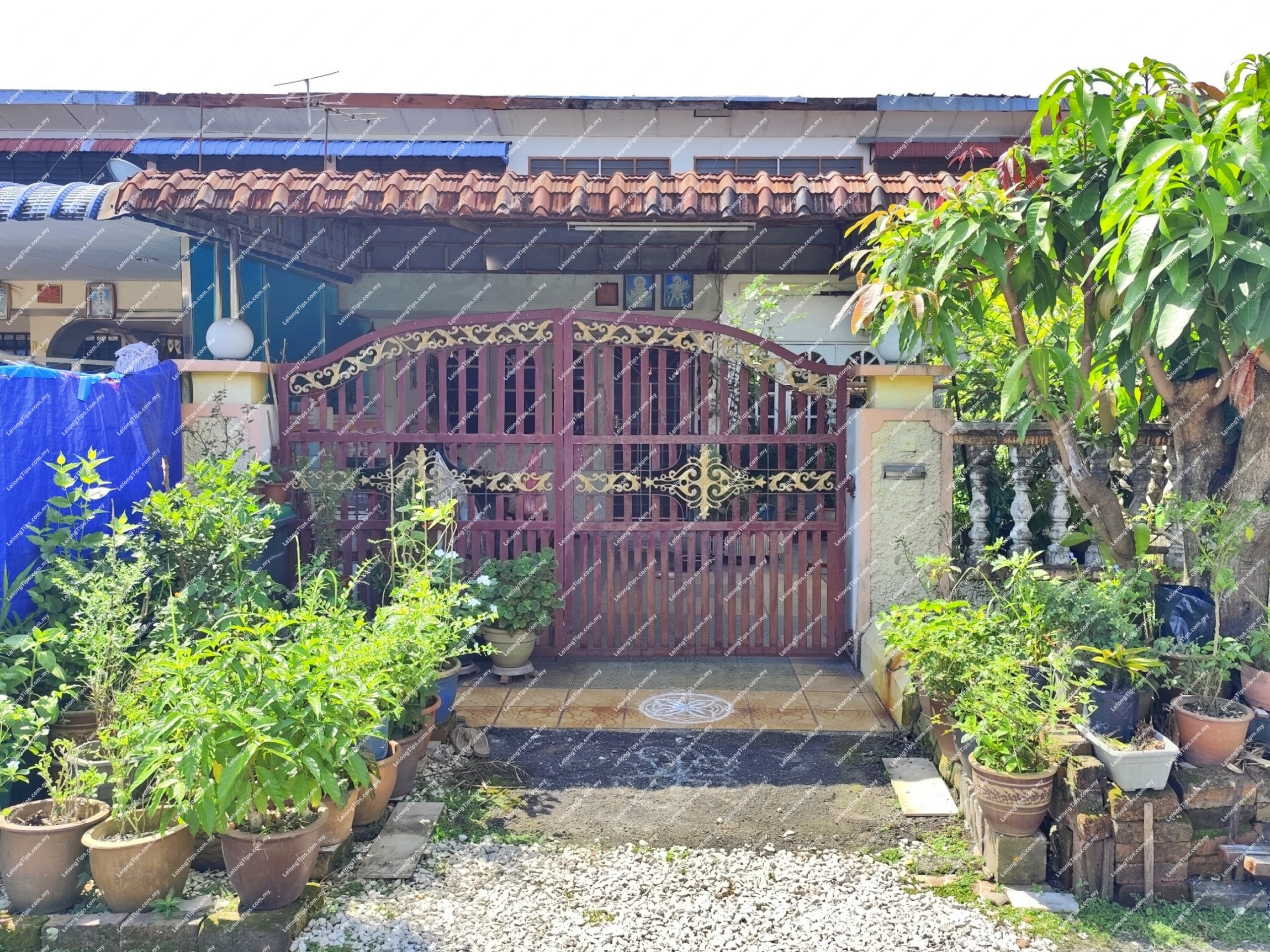 1 Storey Terrace House