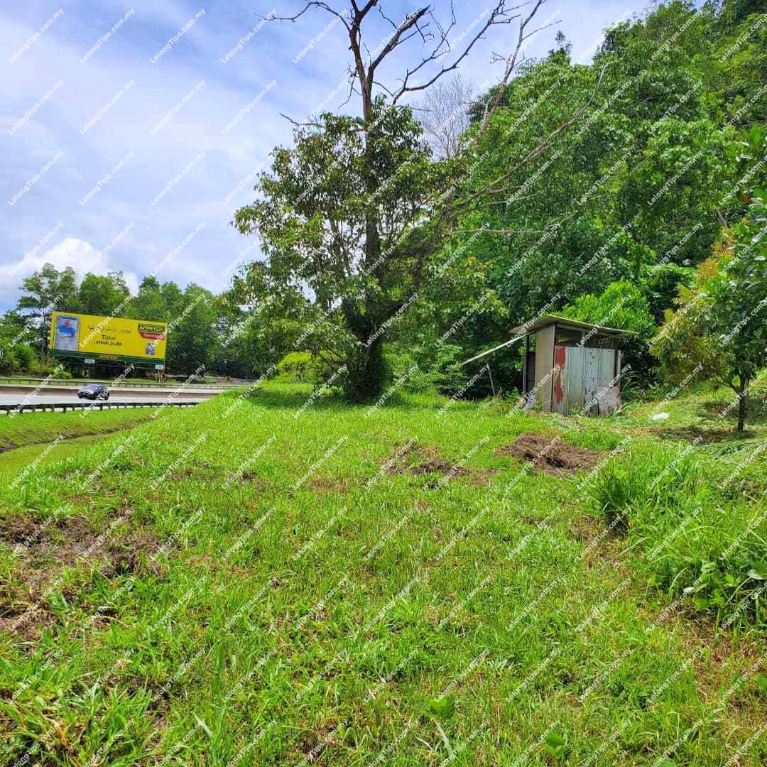 Freehold Agricultural Land [14 min to Bentong Town;  Located right next to the KARAK Highway]