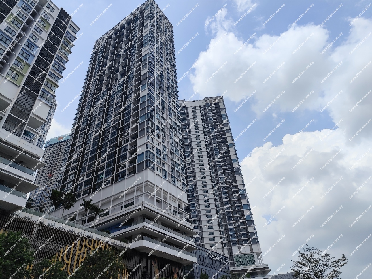 Small Office Home Office (SOHO)