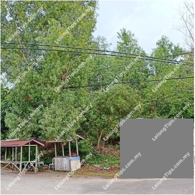 Vacant Commercial Land