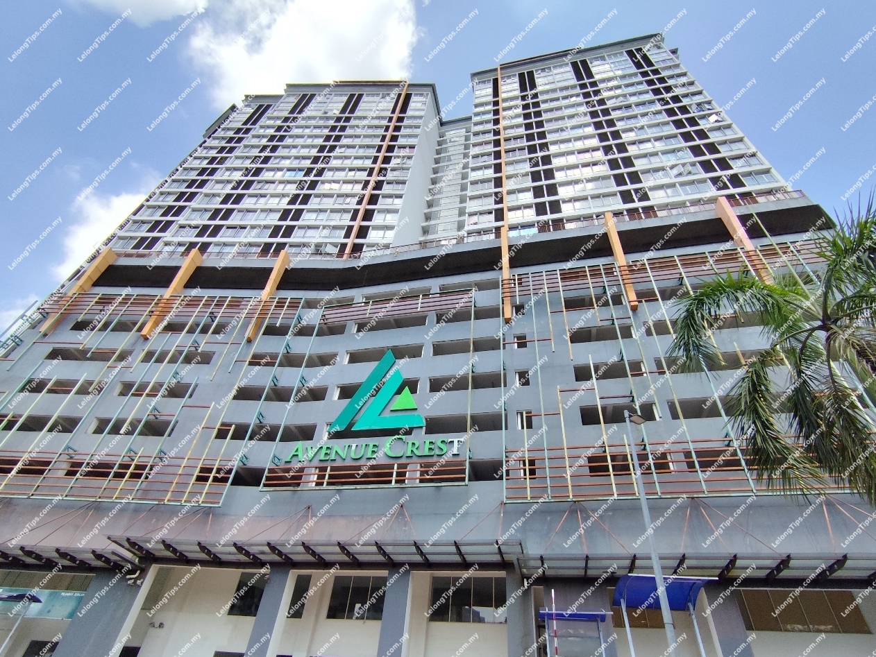 Small Office Flexible Office (SOFO)