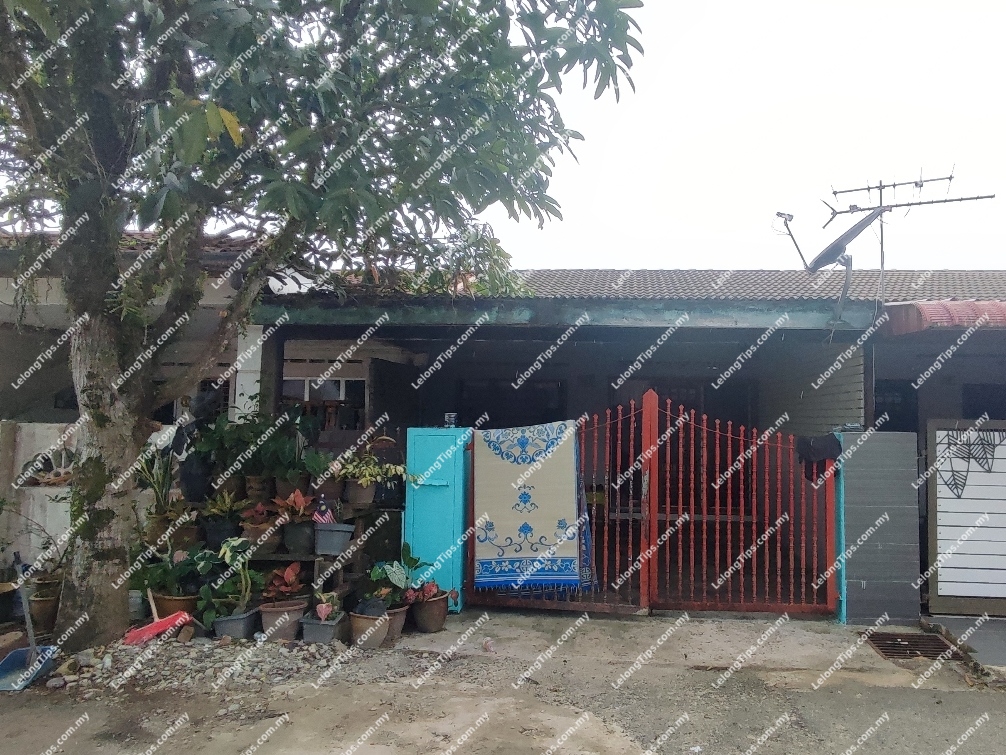 1 Storey Terrace House