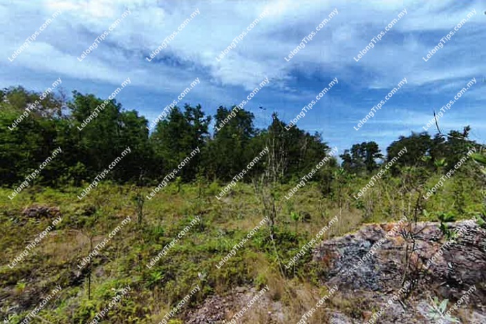 Vacant Residential Land